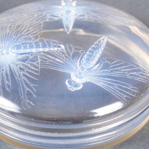 1921 René Lalique - Box Libellules Dragonflies - 
