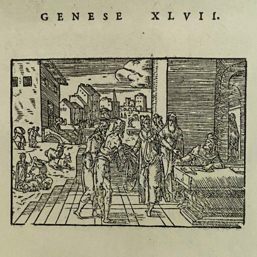 Céramiques, Porcelaines  - Crespina en majolique de Lyon, deuxième moitié du XVIe siècle