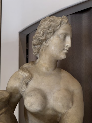 Grande Venus en marbre de Carrare, Italie XVIIIe siècle - 