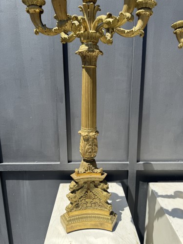 Paire de grands candélabres en bronze doré à six lumières - Epoque début XIX° siècle - 