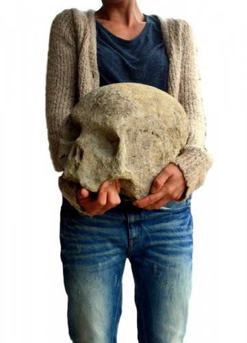 XVIe siècle et avant - Crâne en pierre sculpté XVIe siècle