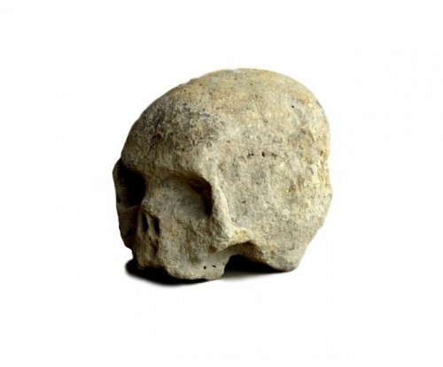 Stone carved Skull.16th century - 