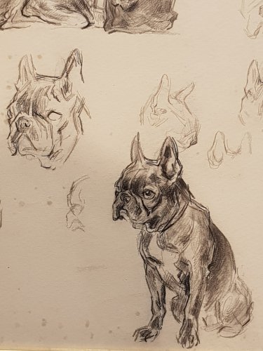Tableaux et dessins Dessin, Aquarelle & Pastel - Etude de bouledogues, par Xavier de Poret (1894 - 1975)