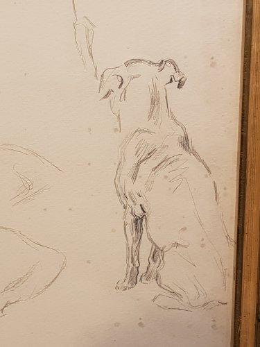 XXe siècle - Etude de bouledogues, par Xavier de Poret (1894 - 1975)