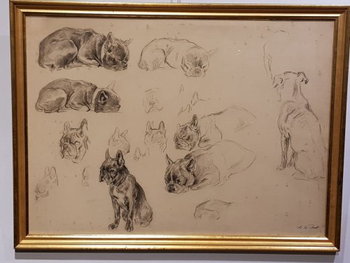 Etude de bouledogues, par Xavier de Poret (1894 - 1975) - 