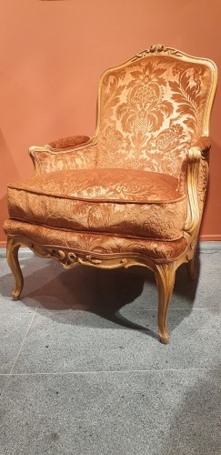 XVIIIe siècle - Bergère Louis XV