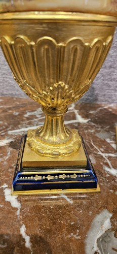 XIXe siècle - Paire de vases couverts en porcelaine de Sèvres et bronze doré