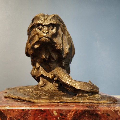 Marmouset Golden Lion - Guido Righetti (1875 - 1958) - 