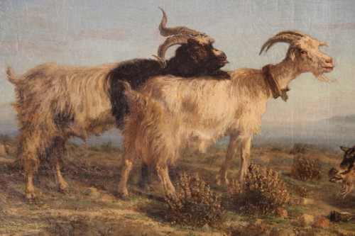 Paintings & Drawings  - Provençal school. SIMON François. The Rove goats.