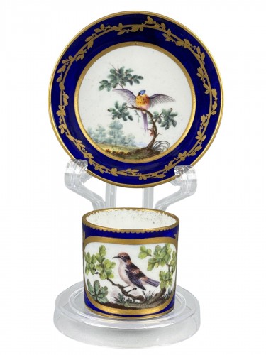 Sèvres 18th Century Bird-Decorated Cup and Saucer (1765)
