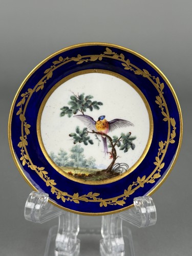 XVIIIe siècle - Tasse et soucoupe à décor d’oiseau, Sèvres XVIIIe siècle (1765)