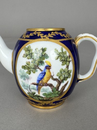 A French 18th Century Soft-Paste Sèvres Porcelain Tea Pot - 