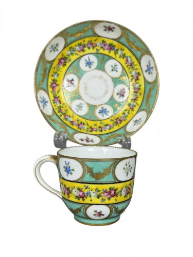 Sèvres soft-paste porcelain cup and saucer with floral reserves