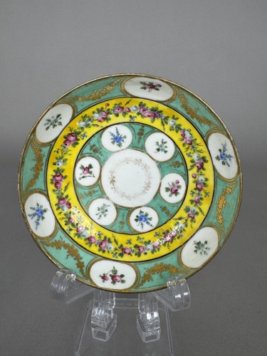  - Sèvres soft-paste porcelain cup and saucer with floral reserves