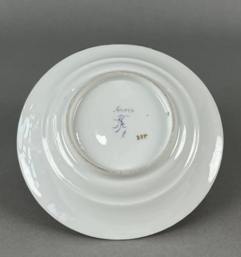 Sèvres Porphyry Ground Cup and Saucer - 