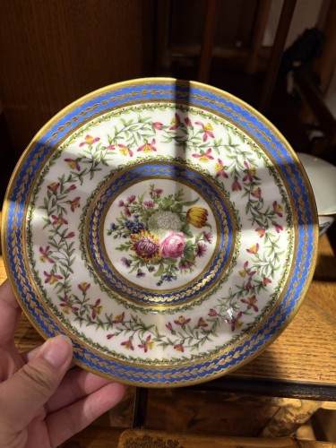 Sèvres soft-paste porcelain cup and saucer with floral decoration - Porcelain & Faience Style 