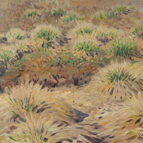 Tableaux et dessins Tableaux du XXe siècle - Gustaf Fjaestad (1868-1948) - Étude de touffes