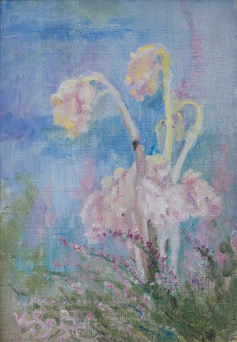 Paintings & Drawings  - Venny Soldan-Brofeldt (1863–1945) - Two Pine Sap Flowers (Tallörter)