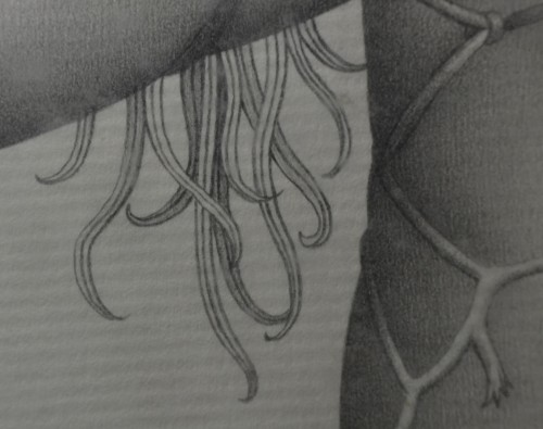 20th century - Original erotic drawing by R. Bertrand, 1970s. "Melanesian Woman."