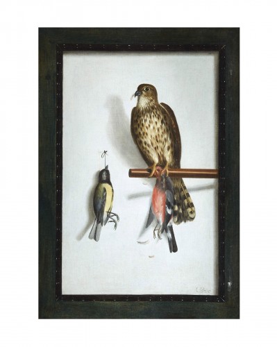 Cornelis Biltius (1653-1685) - Trompe l'oeil with falcon and its prey