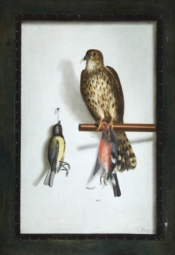 Cornelis Biltius (1653 - 1685) - Trompe l'oeil au faucon et ses proies - Tableaux et dessins Style 