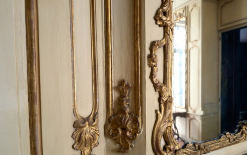 Architectural & Garden  - Louis XV Boiserie