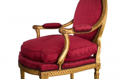 Antiquités - Louis XVI salon in gilded wood, sofa and six armchairs