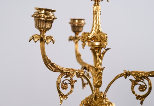 Louis XVI - Paire de candélabres Louis XVI en bronze ciselé et doré