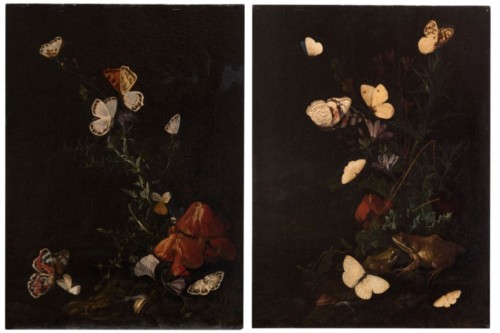 Elias VAN DEN BROECK (ca. 1649 — 1708), Paire de Sottoboschi