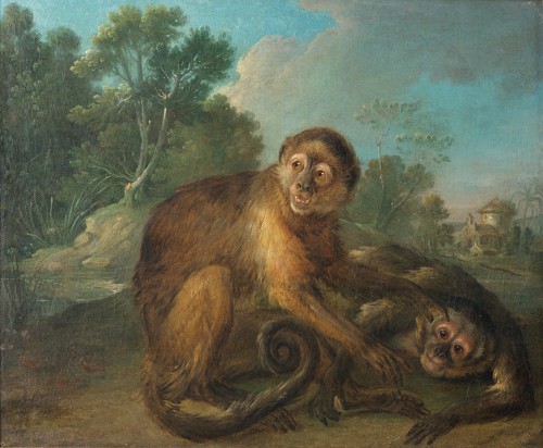 Deux singes Capucins - Christophe Huet (1700-1759)