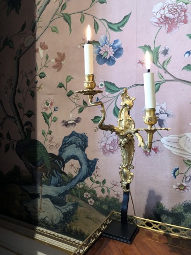 Pair of gilt bronze sconces - Lighting Style 
