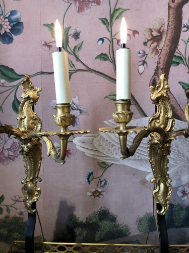 Pair of gilt bronze sconces - 