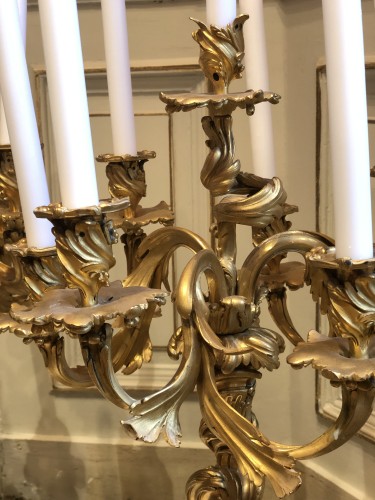 Paire de candélabres de style rocaille en bronze doré à 7 bras de lumière - 