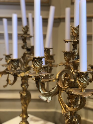  - Paire de candélabres de style rocaille en bronze doré à 7 bras de lumière