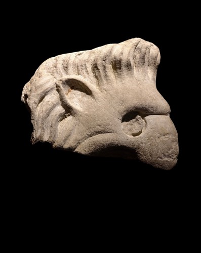 Sculpture  - Marble griffin head - Italy, 16th century
