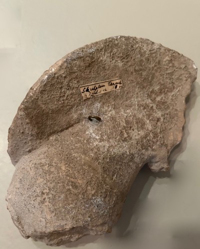 Fragment représentant Mithra - II-III siècle Après J.C. - Dei Bardi Art
