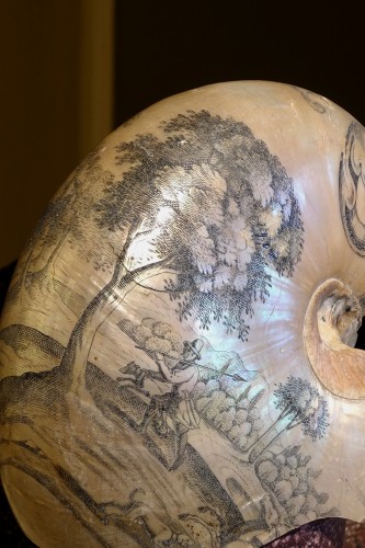 18th century - Engraved Nautilus shell - Netherlands, 18th century