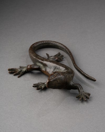 Bronze salamander  - Italy 18th century - 