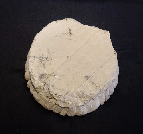 18th century - Large carved stone rosette