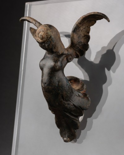 Harpie Renaissance - Italie XVIe siècle - Dei Bardi Art