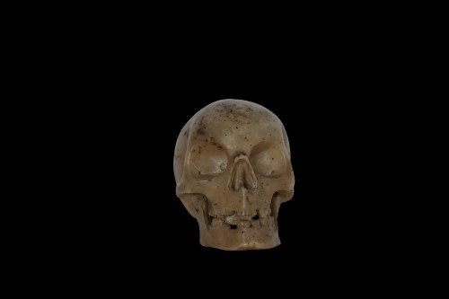 Italian Memento Mori skull -  XVII century - Curiosities Style 