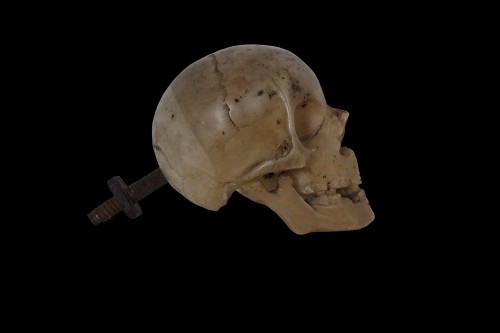 Italian Memento Mori skull -  XVII century - 