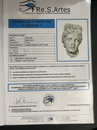 Head of the Apollo de Belvedère - 