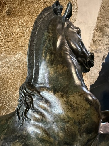 18th century - Bronze Horse with patina, late XVIIIth century