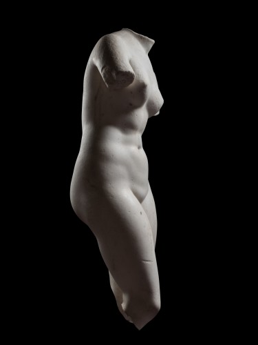 Sculpture  - Venus Pudica (Medici-type)