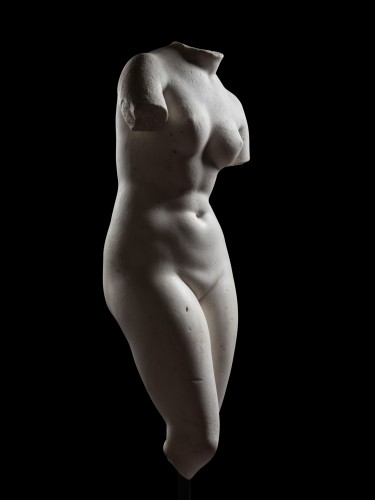 Venus Pudica (Medici-type) - 