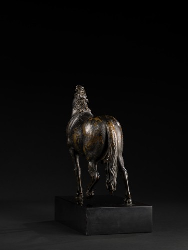 Étalon au pas amblé et étalon cabré exécutant des mouvements de manège - 