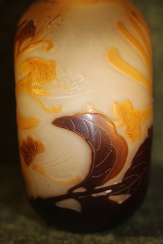 Emile Gallé (1846-1904) - Vase gourde à décor de fleurs de lys sauvages - Art nouveau