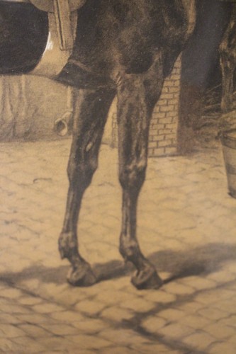 Louis-Philippe - Cheval harnaché, Alfred de Dreux (1810-1860)