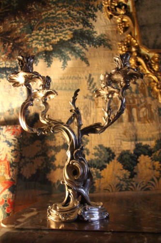 Luminaires Bougeoirs et Chandeliers - Paire de candélabres en bronze argenté, 1ere moitié du XIXe siècle